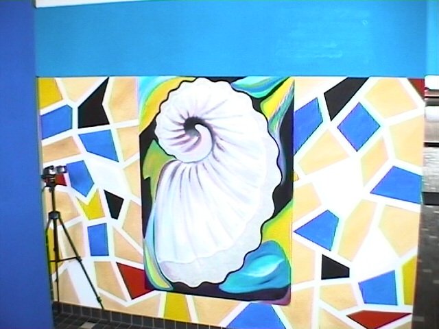 Spisula muurschildering nautilus