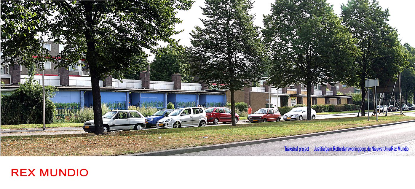 Muurschilderingen splitwoningen